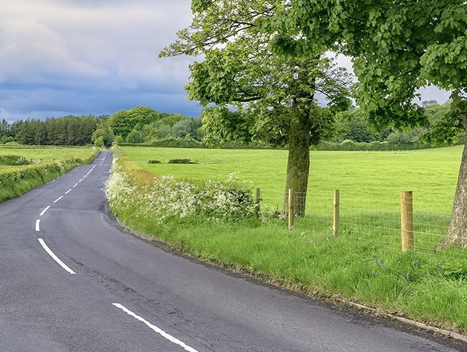 Land agency services by property consultancy Continuum